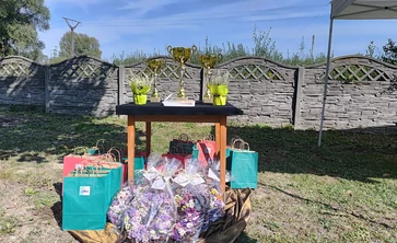 stolik na którym są postawione 3 puchary, dyplomy torby papierowe z upominkami 